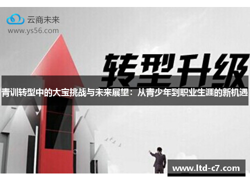 青训转型中的大宝挑战与未来展望：从青少年到职业生涯的新机遇
