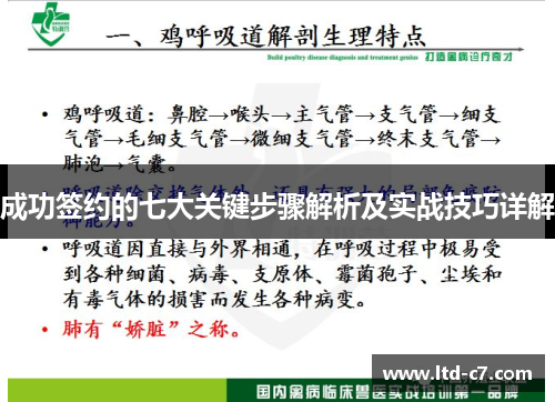成功签约的七大关键步骤解析及实战技巧详解