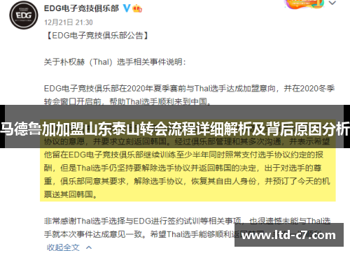 马德鲁加加盟山东泰山转会流程详细解析及背后原因分析