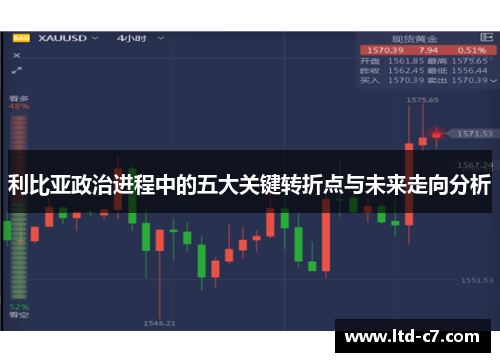 利比亚政治进程中的五大关键转折点与未来走向分析