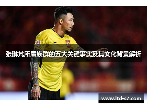 张琳芃所属族群的五大关键事实及其文化背景解析