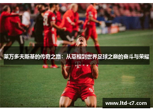 莱万多夫斯基的传奇之路：从草根到世界足球之巅的奋斗与荣耀